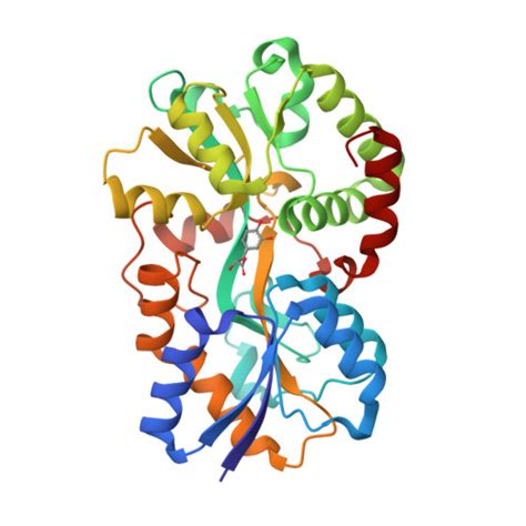 fbpa|The neisserial 37 kDa ferric binding protein (FbpA)